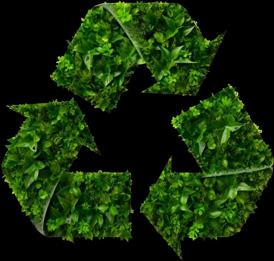Inovações sustentáveis para um futuro ainda mais verde!
