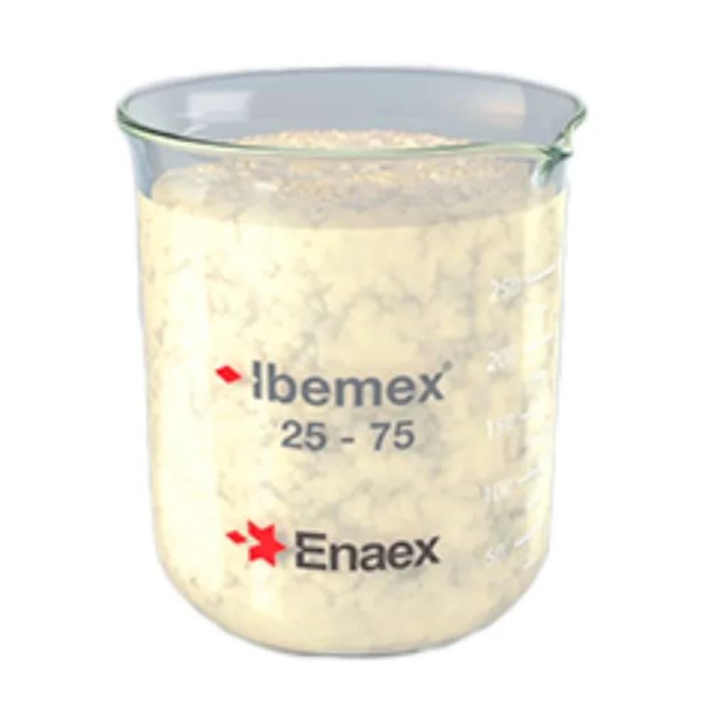 IBEMEX - 1
