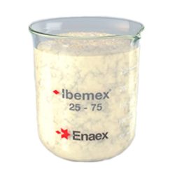 ibemex